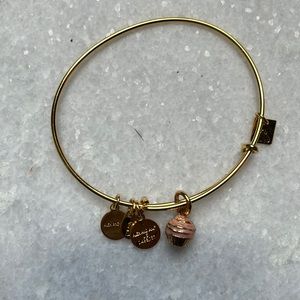 Alex and Ani charm bracelet